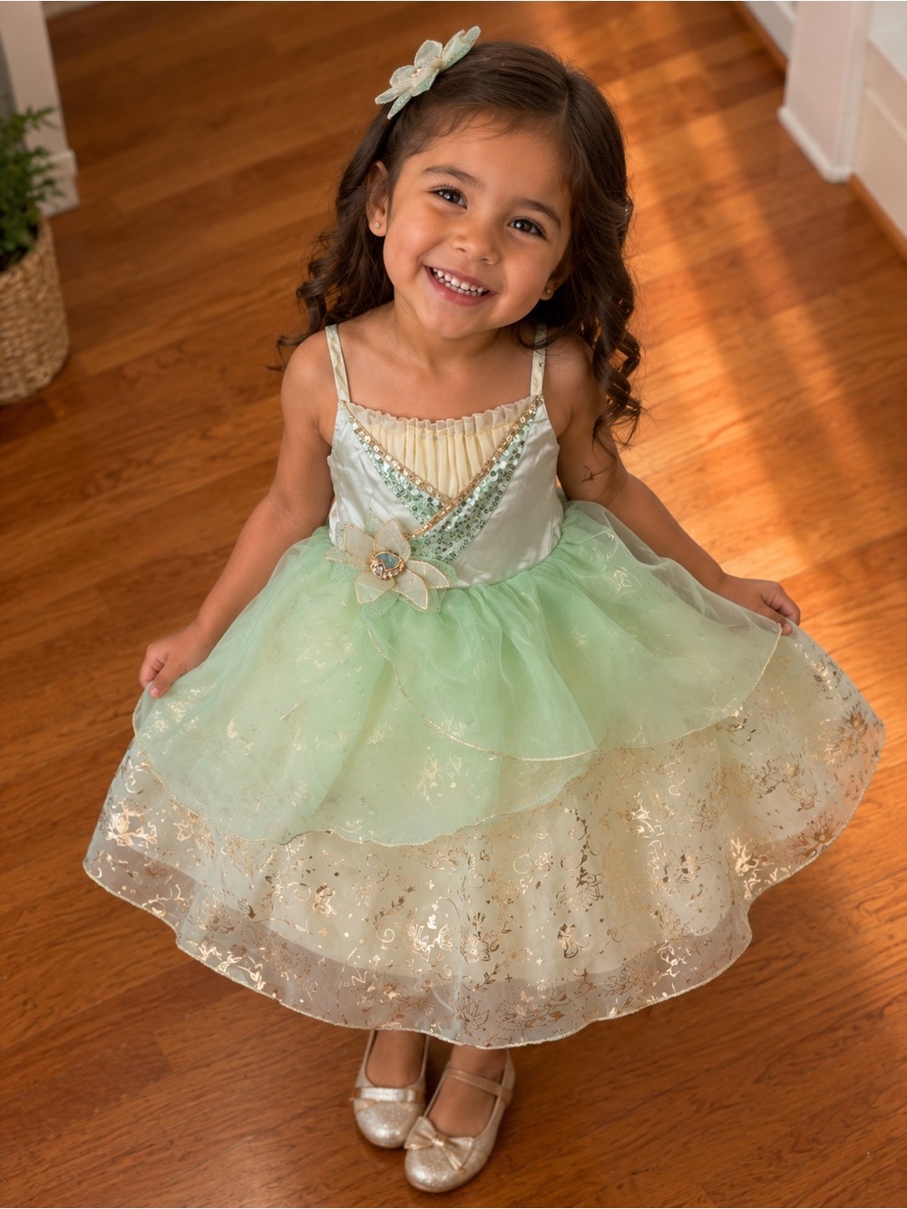✨ Authentic Disney Store Princess Dress